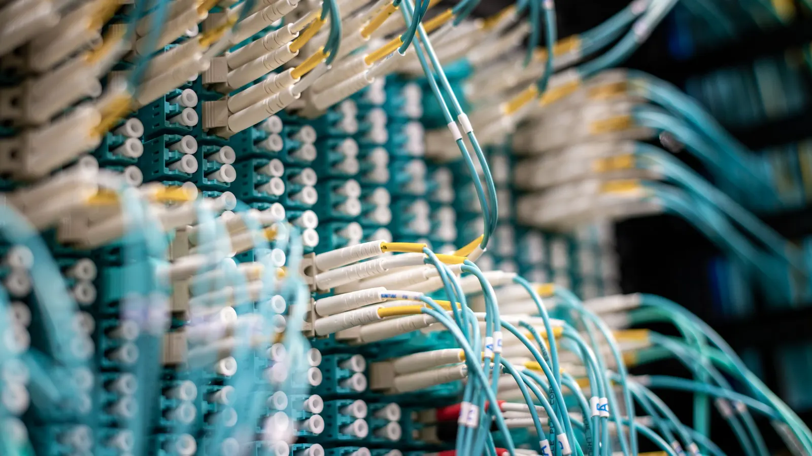 Fibre optic cables plugged into a network switch.